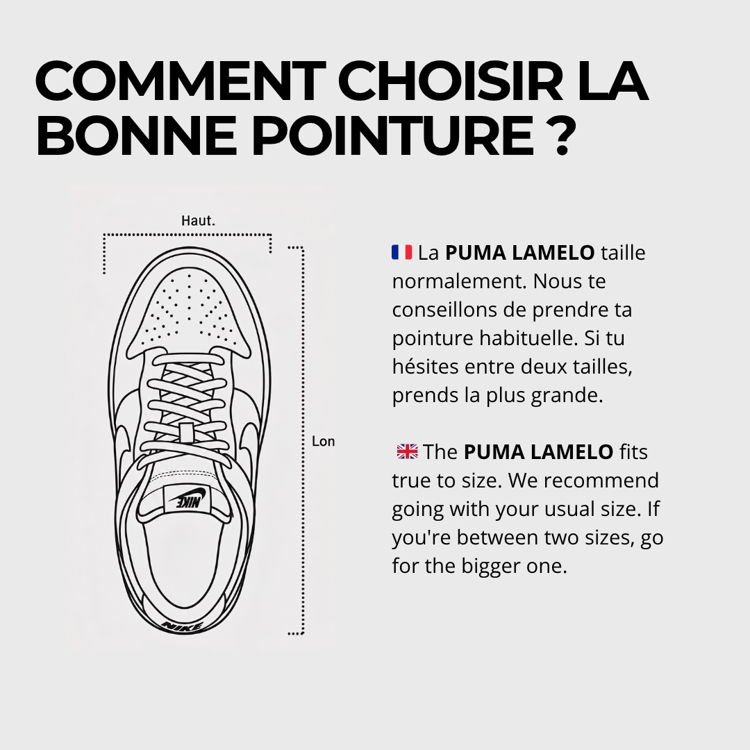 Guide des tailles