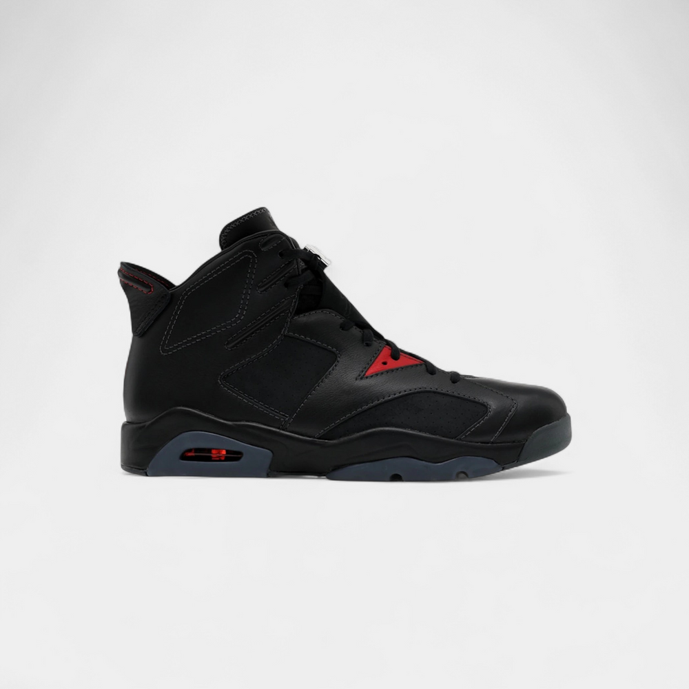 Jordan 6 Retro PRM Bin23