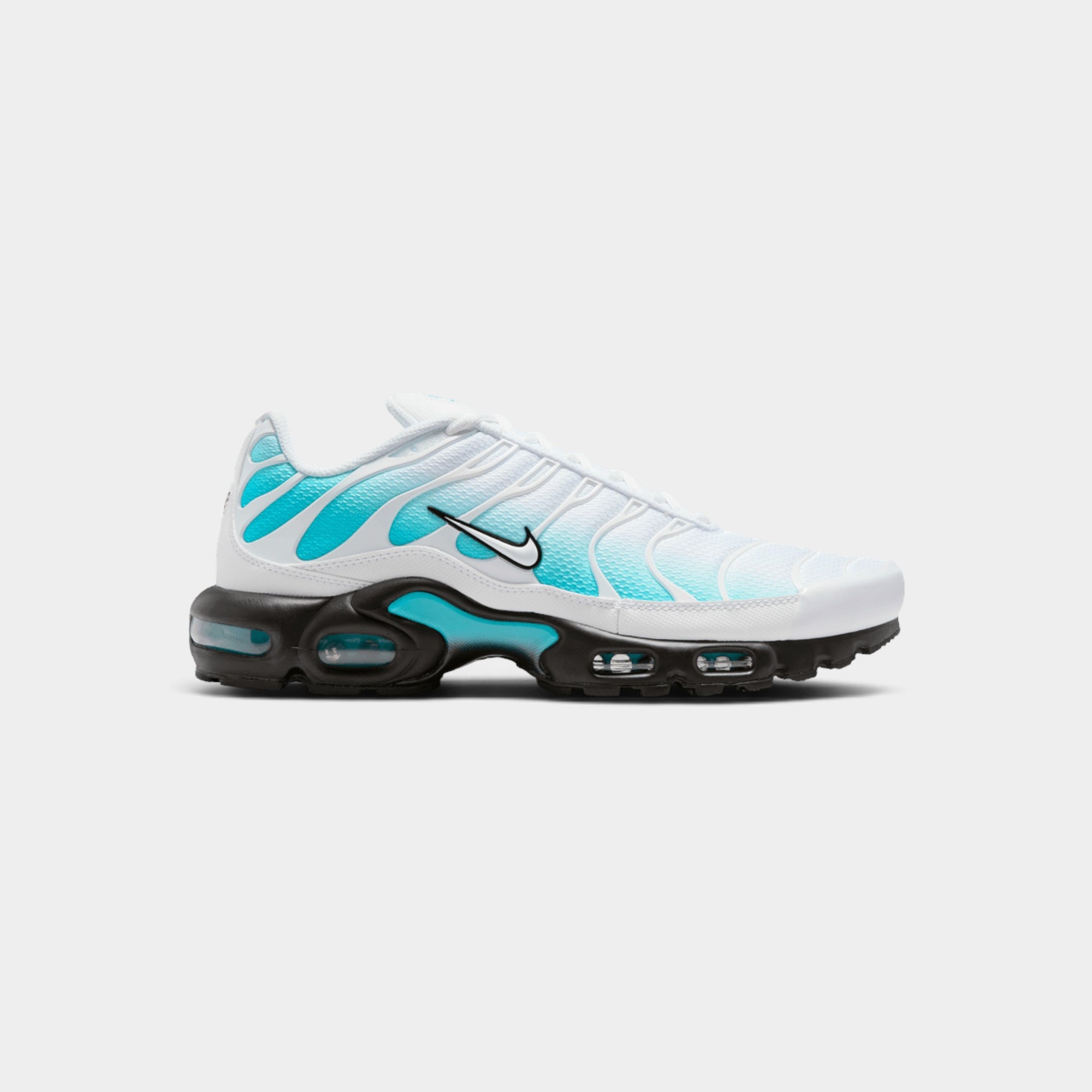 Nike Air Max Plus Dusty Cactus
