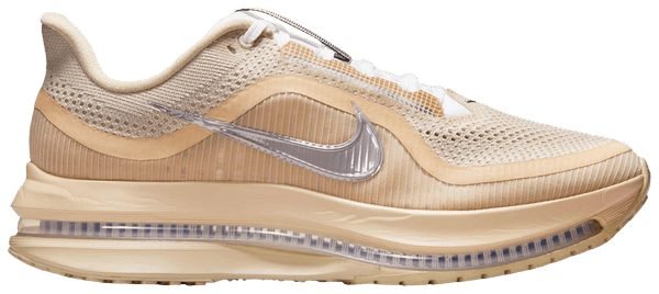Nike Pegasus Premium SP (Men) 1