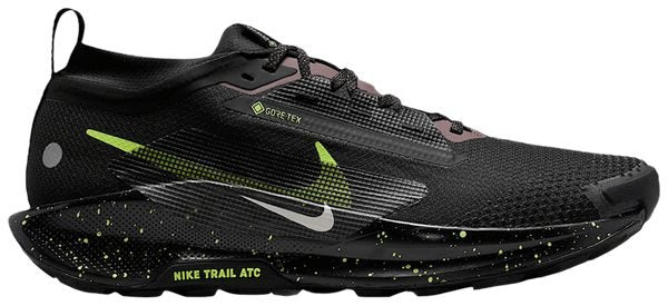 Nike Pegasus Trail 5 GORE-TEX (Men) 1