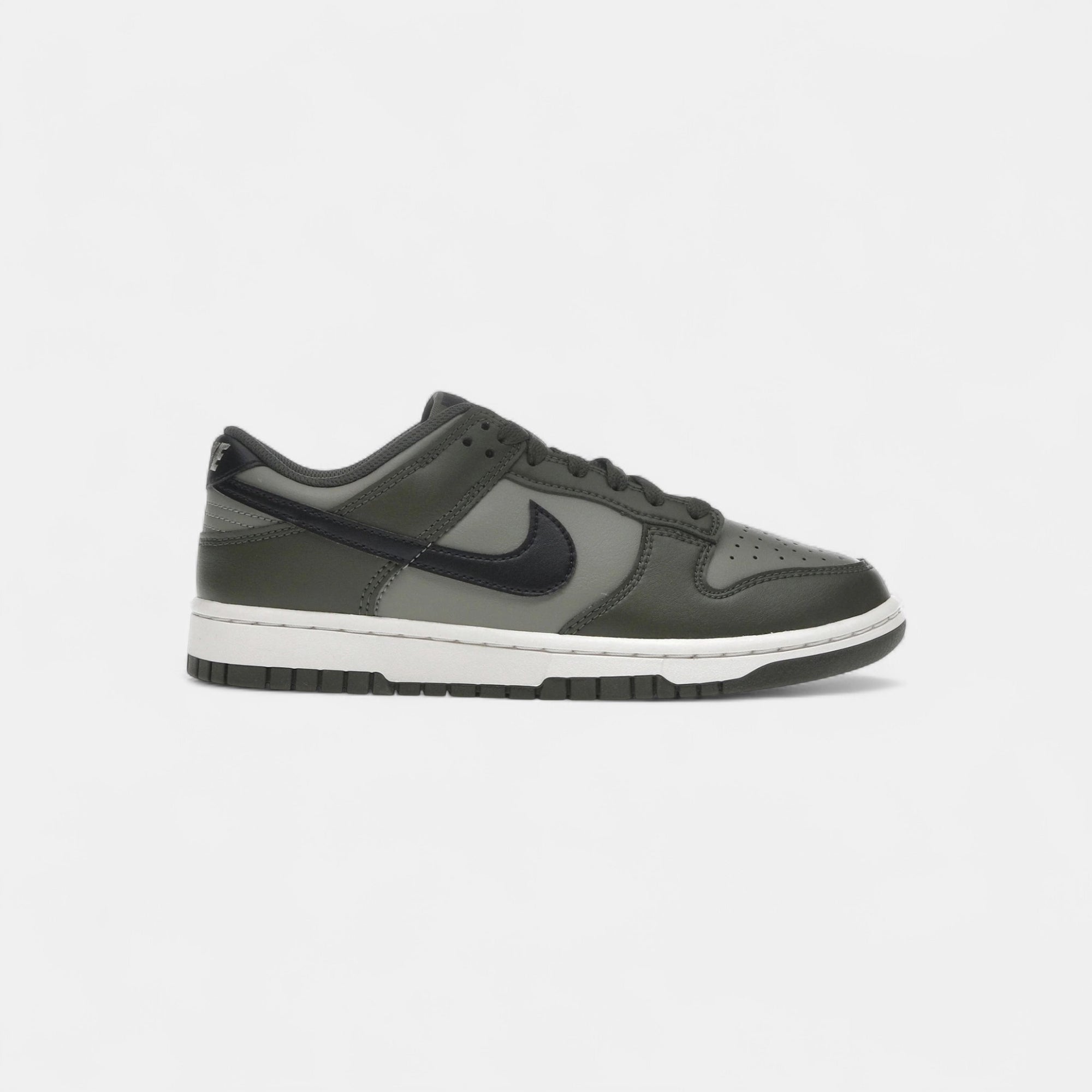 Nike Dunk Low Retro Light Army Cargo Khaki