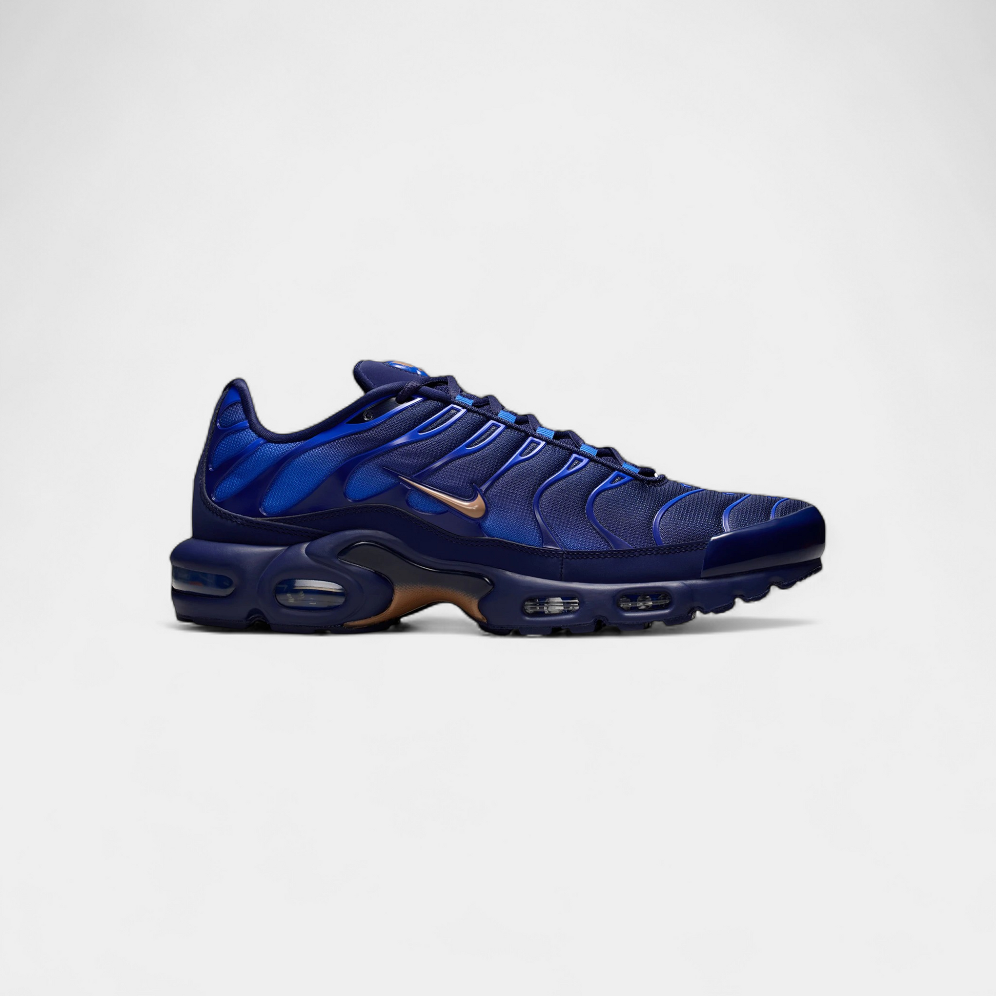 Nike Air Max Plus French Football Federation